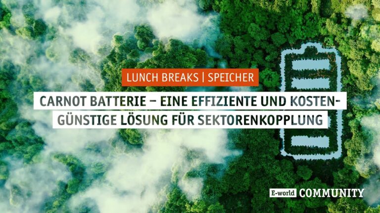 Energieeffiziente Batterien bequem online bestellen