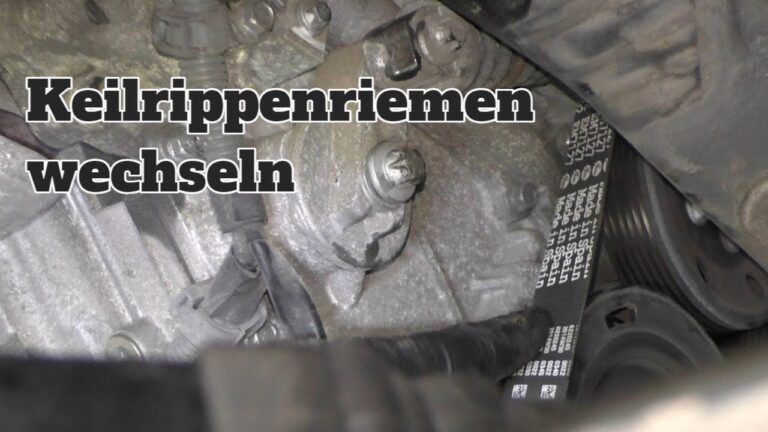 Neueste Updates zu Riemenscheiben-Modellen
