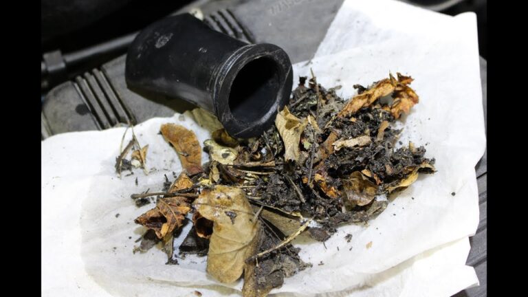 Ursachen f&uuml;r Verstopfungen in Ablaufschl&auml;uchen